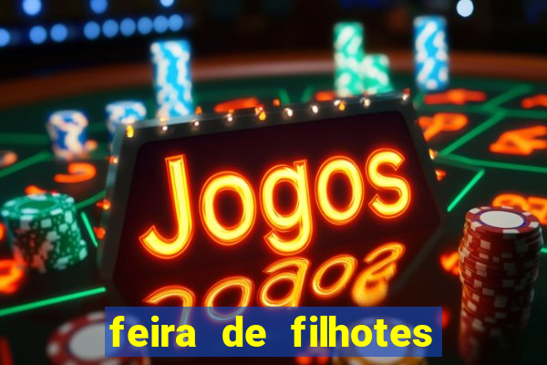 feira de filhotes porto alegre